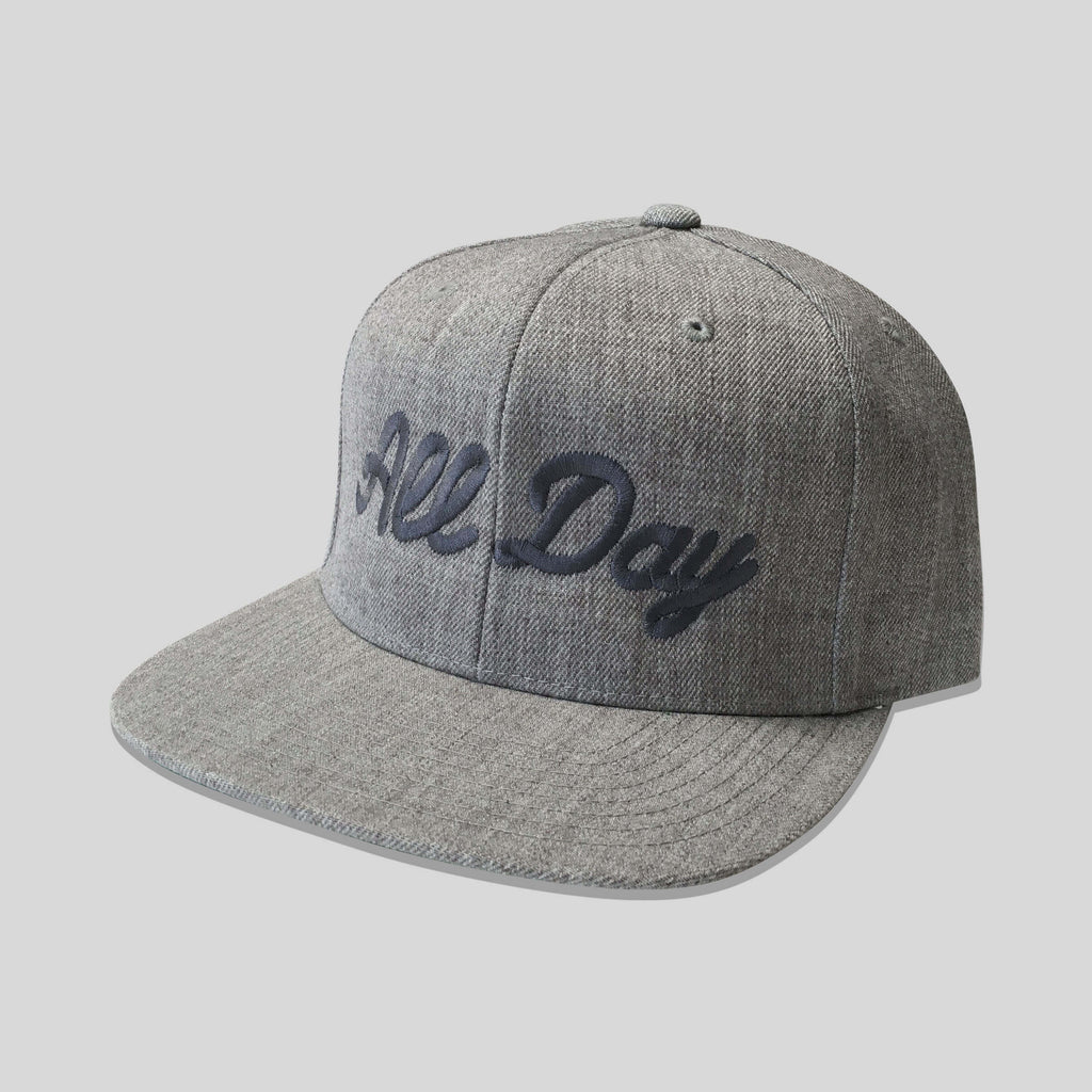 strikeforce - All Day Snapback in Heather/Gray